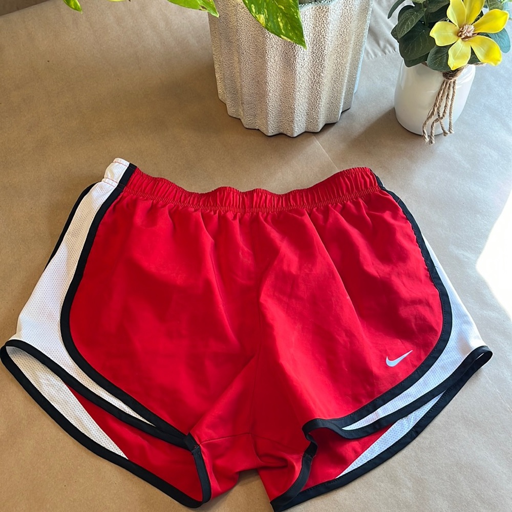 Nike Lined Running Shorts Medium